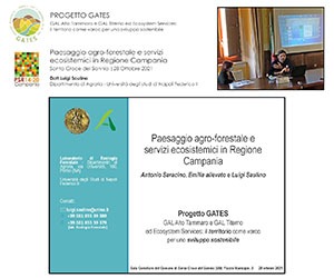 Paesaggio agro-forestale e servizi ecosistemici in Regione Campania | Luigi Saulino
