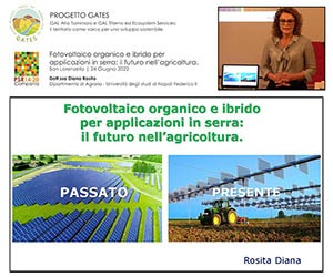 Fotovoltaico organico e ibrido per applicazioni in serra: il futuro nell’agricoltura | Diana Rosita